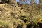 Bosque de Piedras de Gallupaqtza