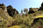 Bosque de Piedras de Gallupaqtza