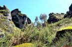 Bosque de Piedras de Gallupaqtza