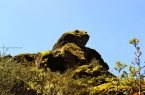 Bosque de Piedras de Gallupaqtza