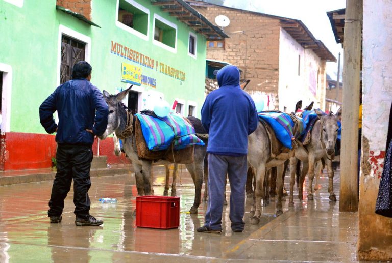 «Cargayequi», el inicio de la fiesta en honor a la Virgen de la Candelaria.