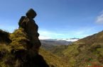 Bosque de Piedras de Gallupaqtza