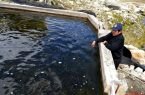 Piscigranja cercana a la Laguna de Qharán