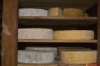 Almacén de quesos añejados, algunos tienen más de dos años