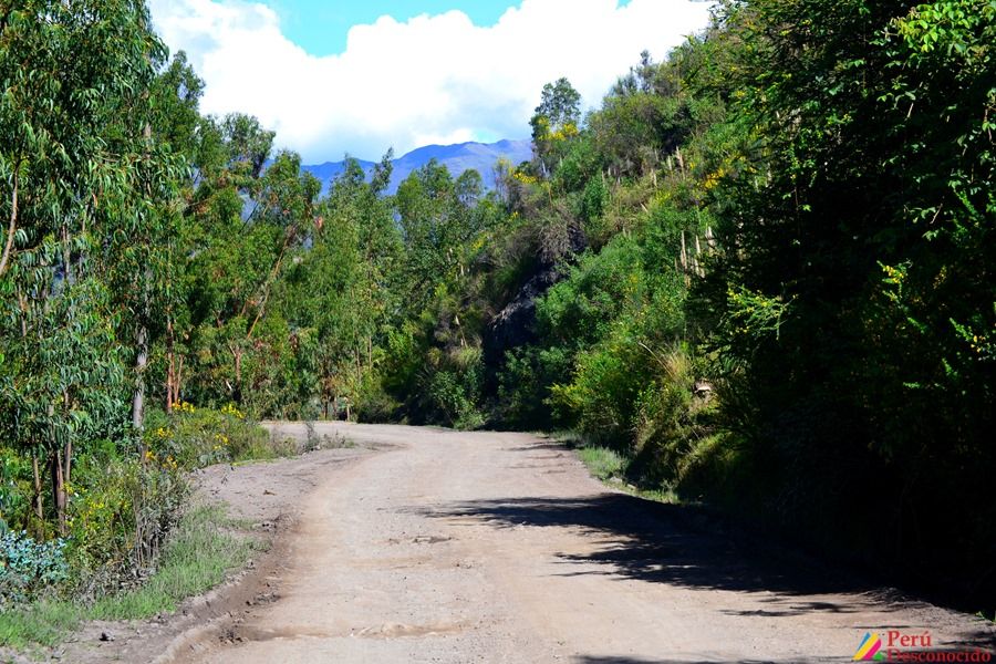 Carretera San Luis Yauya