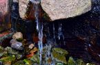 Paccha, fuente de agua de San Luis-Ancash