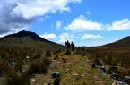 El gran camino Inca.