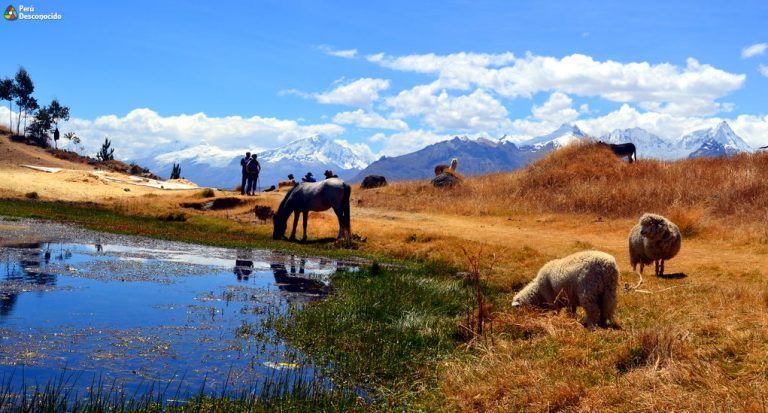 Laguna Wilcacocha en Huaraz, el escape perfecto.